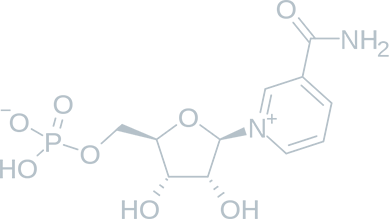 NMN 構造式